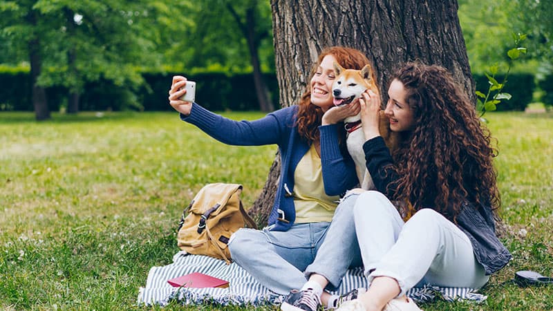 The Best 1 Second Everyday Alternative in 2026